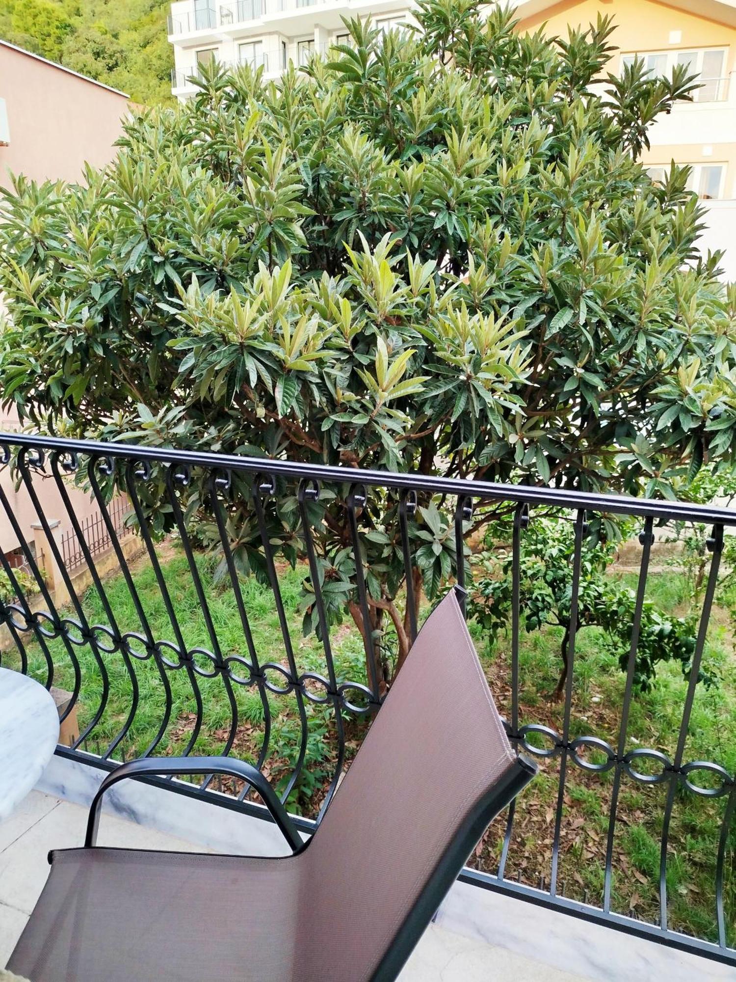 Mijovic Apartment Budva